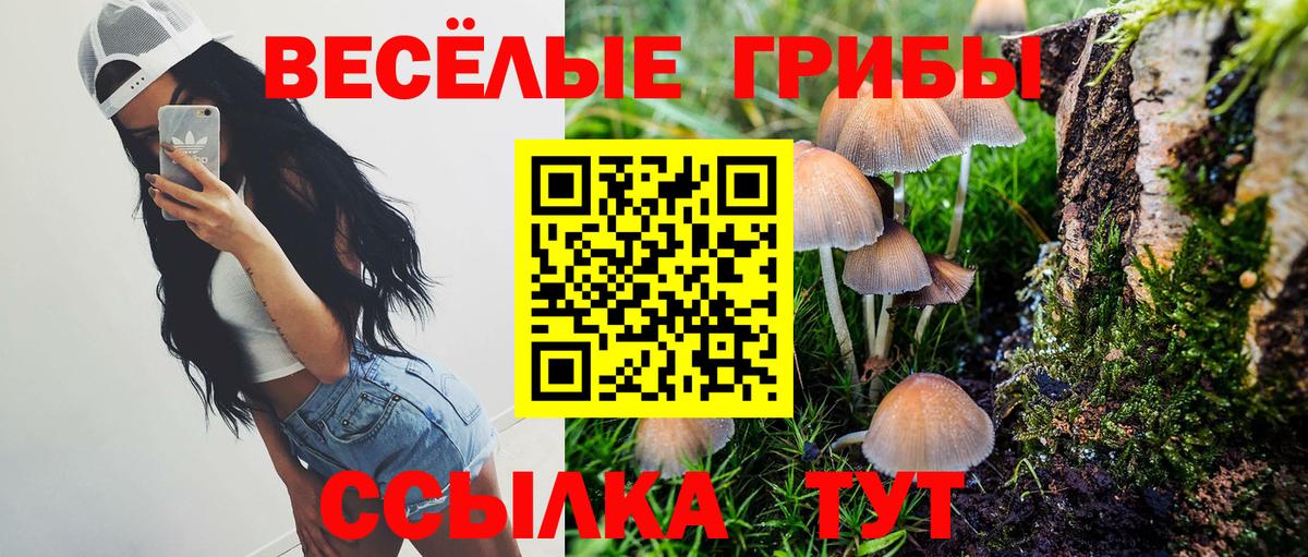 Псилоцибиновые грибы Psilocybe Орёл
