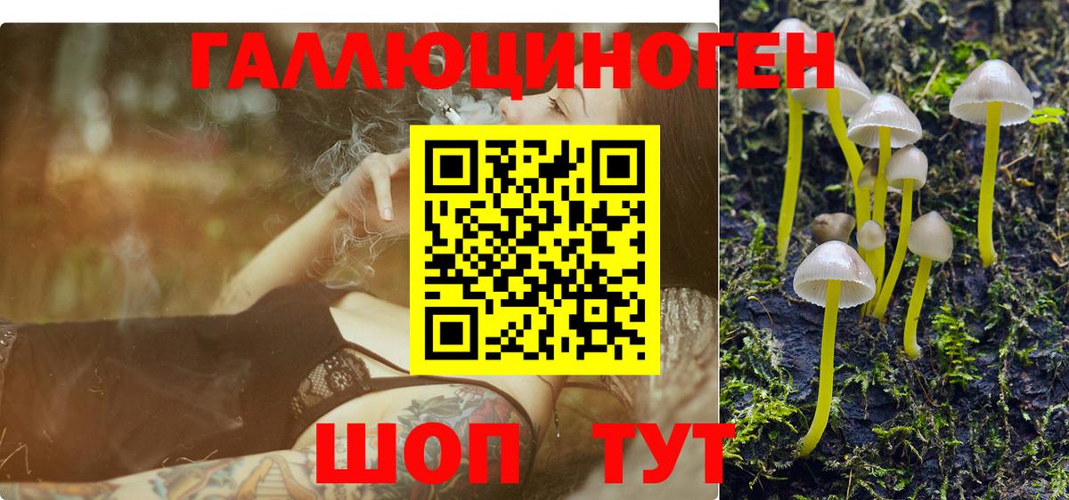 Галлюциногенные грибы мицелий  Галлюциногенные грибы Psilocybe  Вход с VPN  Орёл 